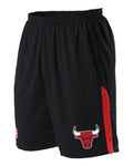 Alleson Athletic Youth NBA Logo'd Game Shorts (Part 1 of 2) - Chicago Bulls
