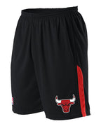 Alleson Athletic Youth NBA Logo'd Game Shorts (Part 1 of 2) - Chicago Bulls